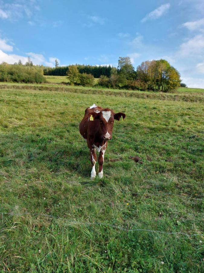 Ferienhaus Chatki Weichsel